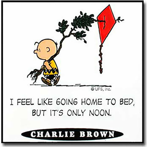 Charlie Brown Magnet
