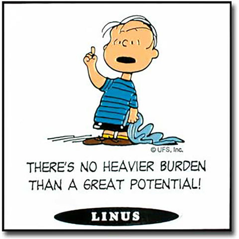 Linus Magnet